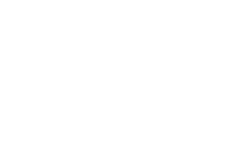 Wing Chun Coach